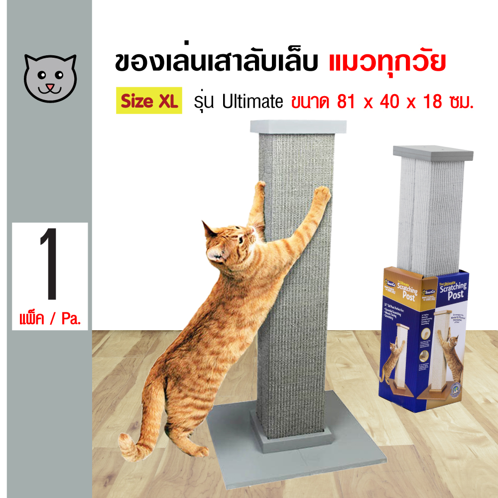 SmartCat Scratching Post ของเล่นแมว คอนโดแมว ของเล่นลับเล็บ รุ่นจัมโบ้ สำหรับแมว Size XL 81x40x18 ซม.