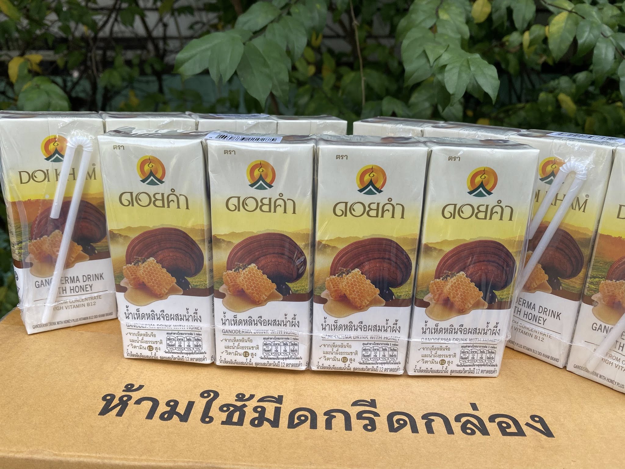 Reishi Mushroom Juice Mixed with Honey, 200 Ml. The Whole Box Contains 9 Packs and 36 Boxes. It's Delicious to Drink and Has Benefits for the Body. Doi Chai, a Mixture of Reishi Mushrooms and Honey, Is Produced from Good Quality Raw Materials. through Sta ราคา 795 บาท*ส่งฟรี