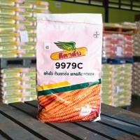 เมล็ดพันธุ์ข้าวโพดดีคาร์บ 9979C 3.5 หุน 10 kg. แห้งไว ต้นแกร่ง ผลผลิตสุดแรง