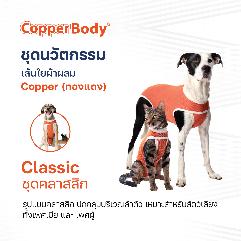 CopperBody Classic นวัตกรรมชุดทองแดง ใส่หลังผ่าตัด ปกคลุมบริเวณลำตัวสัตว์เลี้ยง ราคา 1,182 บาท*ส่งฟรี