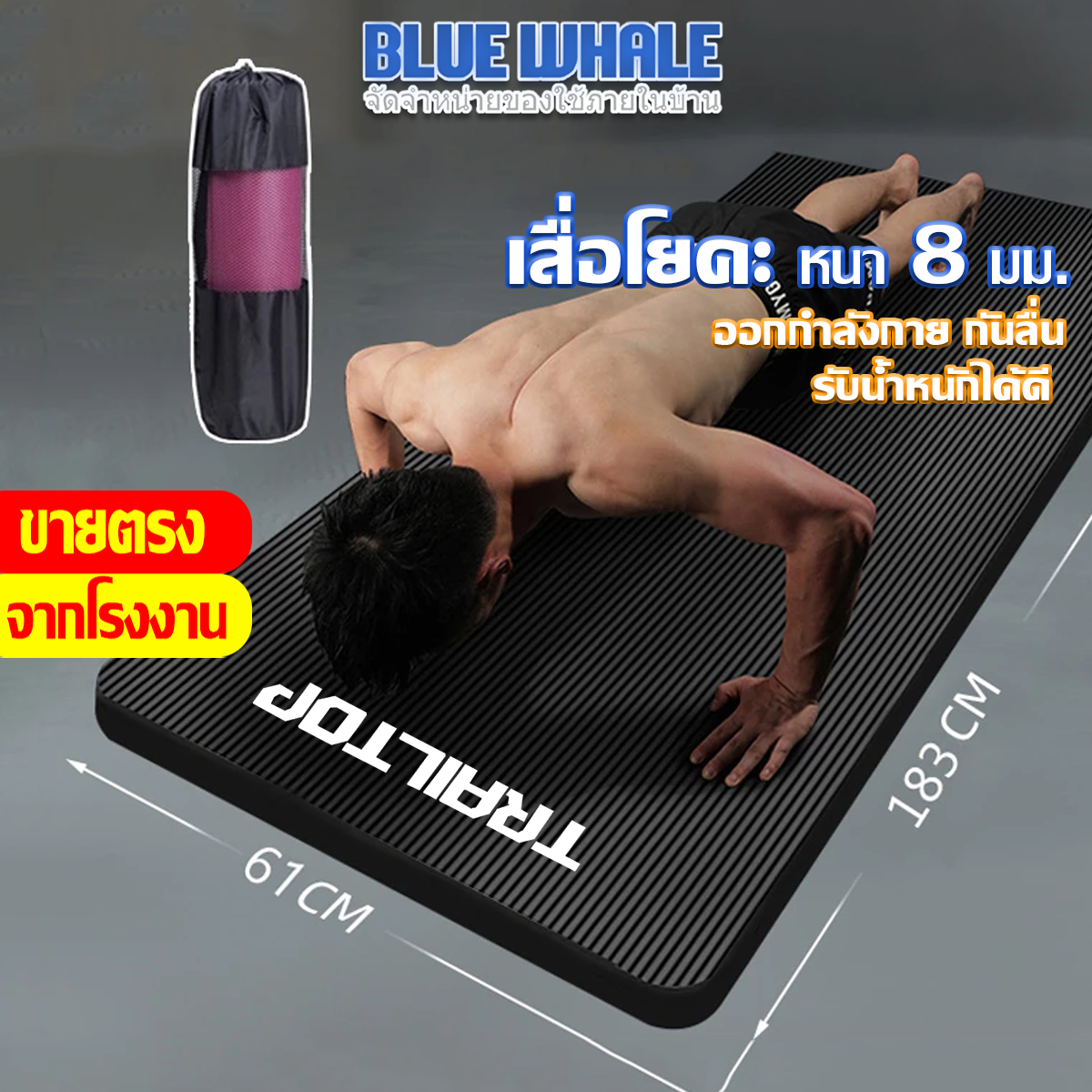 BLUE WHALE เสื่อโยคะ หนาพิเศษ 8 มิลเมตร และ 10 มิลิเมตร ใช้ออกกำลังกาย กันลื่นรับน้ำหนักได้ดี หน้ากว้าง 61 cm ยาว 183 cm นุ่มสบายใช้งานสะดวกทนต่อแรงกดทับได้เป็นอย่างดี