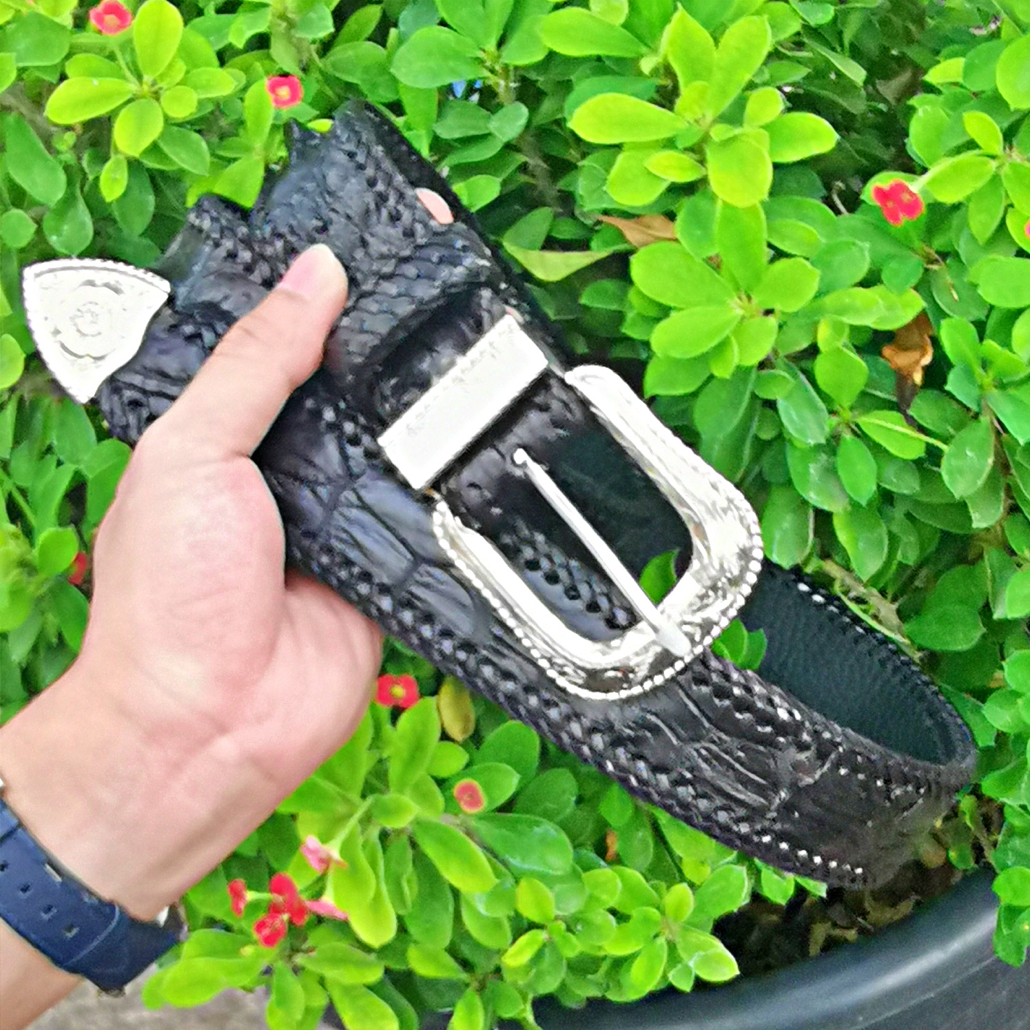 งานสวยๆ หนังแท้ๆ ราคาไม่แพง Super Black สีดำ เข็มขัดหนังจระเข้ งานสวยๆ กับหัวชุดสีเงิน ราคา 2,500 บาท*ส่งฟรี