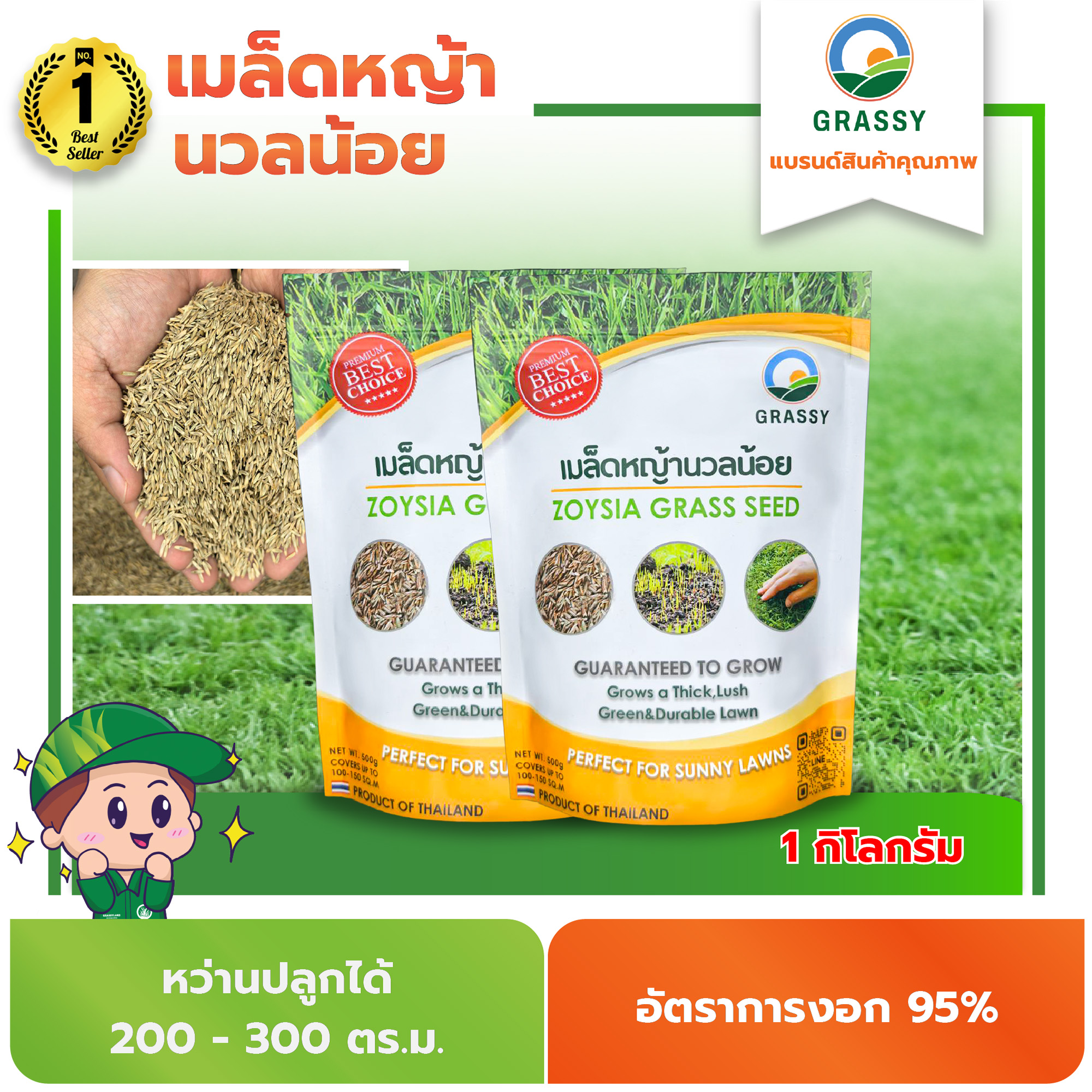 Grassy, Little Tufted Grass Seeds, 1 Kilogram (Can Be Sown to Cover 250-300 Sq.M.) Free Transportation, Free Root Accelerator. (No Distributors) Lawn Grass Seed Guaranteed to Impress. Grow Grass at an Affordable Price. No Need for Grass Sheets. Guaranteed ราคา 1,333 บาท*ส่งฟรี