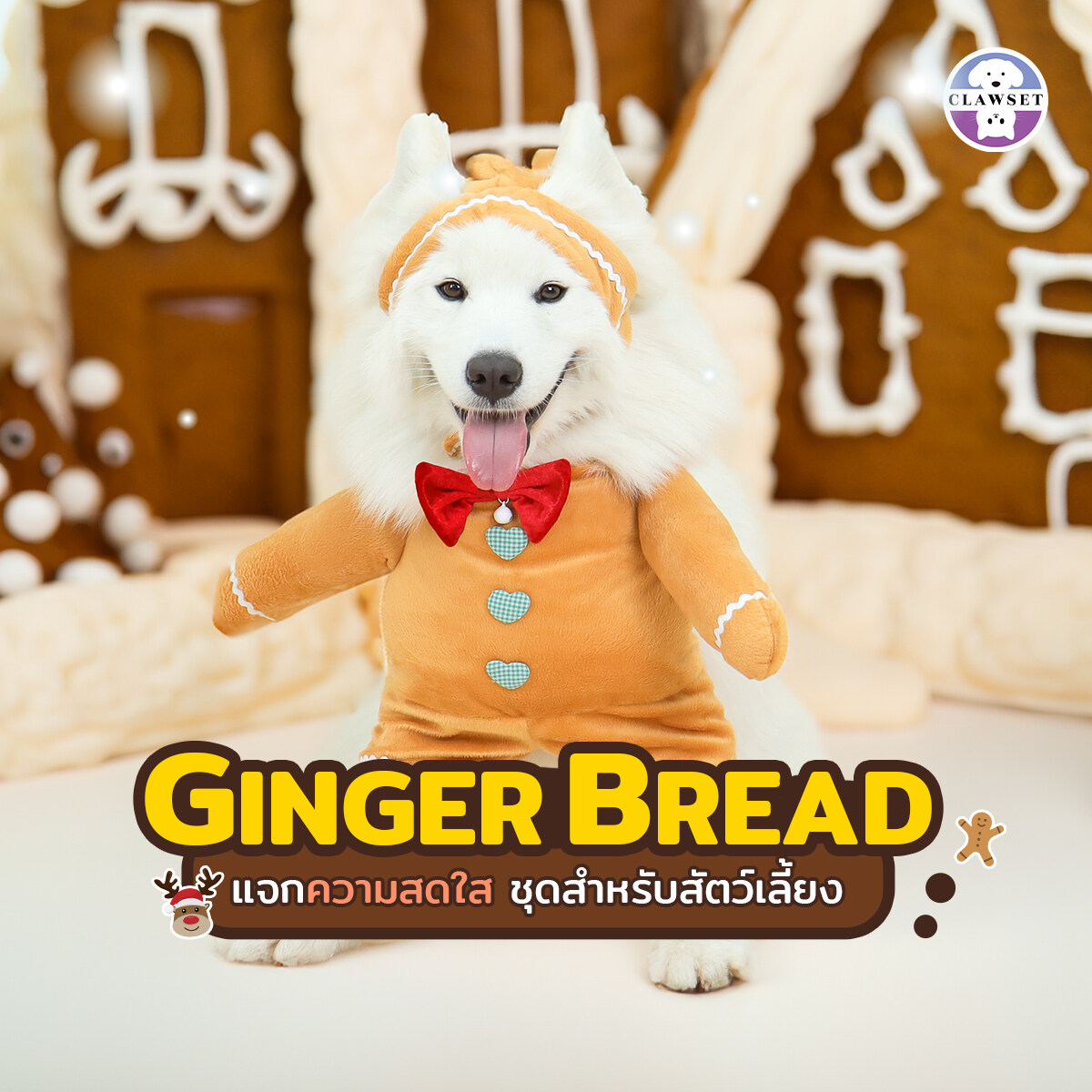 จินเจอร์เบรด ชุดขนมปังขิง ชุดเทศกาลคริสต์มาสสำหรับสัตว์เลี้ยง | Clawset.bkk ราคา 631 บาท*ส่งฟรี