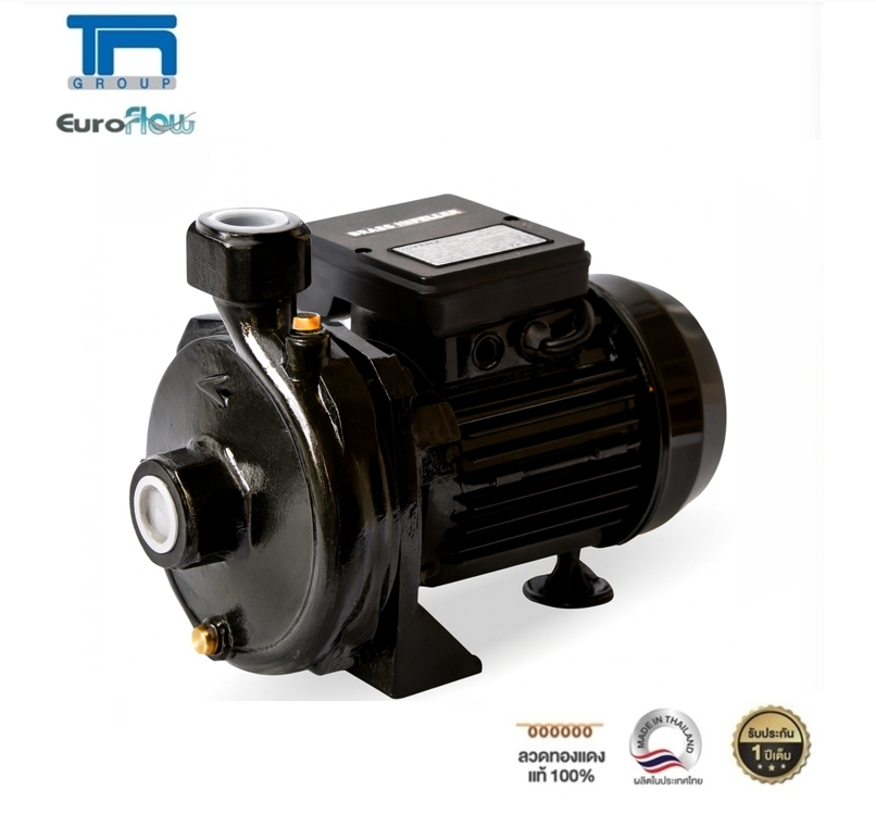 Euroflow Centrifugal Pump, Model Wm100, 1Hp, Inlet-Outlet Pipe 1 Inch X 1 Inch, 1 Horsepower. ราคา 5,683 บาท*ส่งฟรี