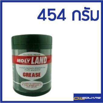 จาระบี โมลี่แลนด์ ขนาด 454 กรัม จาระบี โมลี่แลนด์ ขนาด 454 กรัม