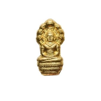 Amulettrue พระนาคปรกใบมะขาม เนื้อทองฝาบาตร หลวงพ่อสาคร วัดหนองกรับ จ.ระยอง ปี2553 Amulettrue พระนาคปรกใบมะขาม เนื้อทองฝาบาตร หลวงพ่อสาคร วัดหนองกรับ จ.ระยอง ปี2553