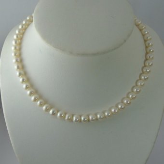 Pearl Jewelry สร้อยคอมุก กลม 6.9 มิล ไข่มุกน้ำจืดแท้ เรียบแต่โก้ Pearl Jewelry สร้อยคอมุก กลม 6.9 มิล ไข่มุกน้ำจืดแท้ เรียบแต่โก้