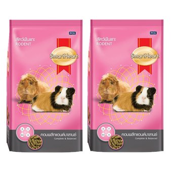 Smartheart Rodent Food 1Kg (2 Bags) อาหารหนูแฮมเตอร์ สัตว์ฟันแทะ หนูตะเภา หนูแกสบี้ และชินชินล่า 1Kg (2 ถุง) Smartheart Rodent Food 1Kg (2 Bags) อาหารหนูแฮมเตอร์ สัตว์ฟันแทะ หนูตะเภา หนูแกสบี้ และชินชินล่า 1Kg (2 ถุง)