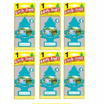 Little Trees® แผ่นน้ำหอมปรับอากาศ รูปต้นไม้ กลิ่น Rainforest Mist จำนวน 6 ชิ้น Little Trees® แผ่นน้ำหอมปรับอากาศ รูปต้นไม้ กลิ่น Rainforest Mist จำนวน 6 ชิ้น