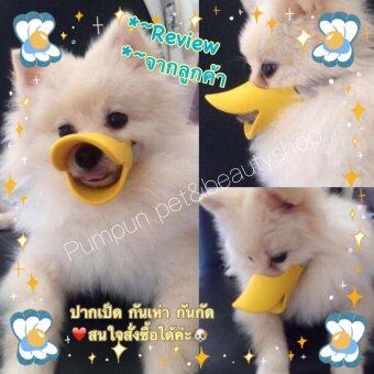 Aduck ปากเป็ด ที่ครอบปากสุนัข กันเลีย กันเห่า กันกัด Size S สีเหลือง Aduck ปากเป็ด ที่ครอบปากสุนัข กันเลีย กันเห่า กันกัด Size S สีเหลือง