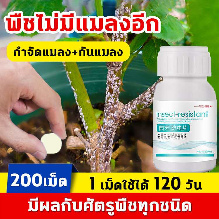 1 เม็ดใช้ได้120 วัน ยาเชื้อราในพืช ยากำจัดเพลี้ย สารกำจัดแมลง 40g（200เม็ด）เพลี้ยไฟ แมลงหวี่ขาว ยาฆ่าเพลี้ย ยากำจัดแมลงพืช ยาฆ่าเพลี้ยแป้ง