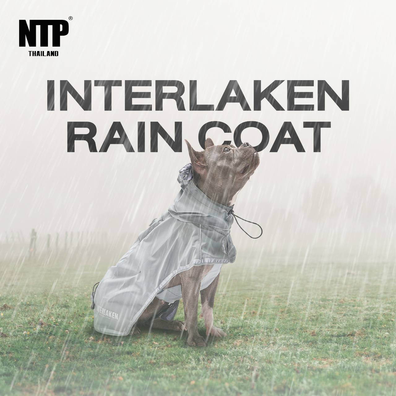 NTP เสื้อคลุมกันฝน INTERLAKEN RAIN COAT ราคา 2,653 บาท*ส่งฟรี