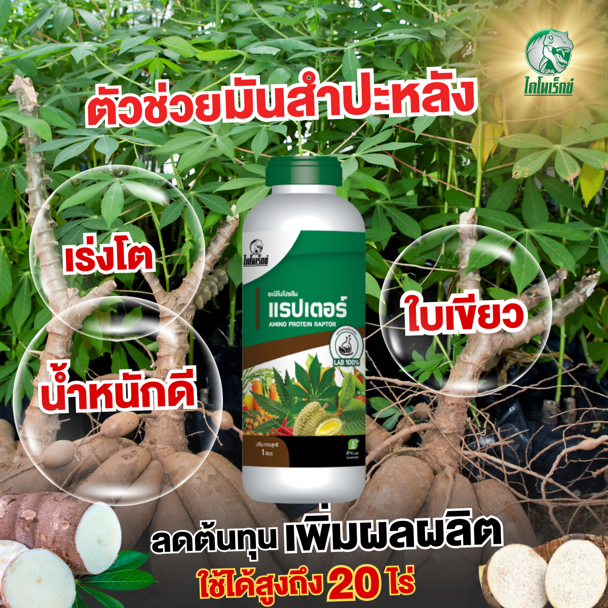 อะมิโนโปรตีนพืช 18 ชนิด สำหรับมันสำปะหรัง ใบเขียวเร็ว เร่งราก น้ำหนักดี เพิ่มแป้ง เพิ่มปริมาณ ปลอดภัย ไร้สารเคมี ราคา 360 บาท*ส่งฟรี