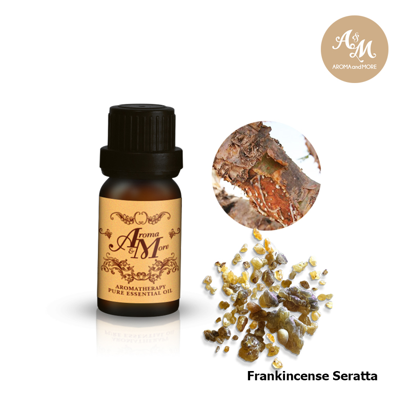 ผลิตภัณฑ์ความงามและการดูแลผิว Aroma & More Aroma&More Frankincense Sacra น้ำมันหอมระเหยบริสุทธิ์ 100% โอมาน 5/10/30/100ML
