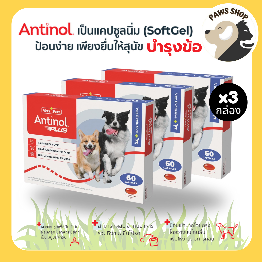 [100% Genuine][3 Boxes] Antinol ® Eab 277 ™ Nourishes Joints and Bones. Dogs Can Eat It from 6 Months and Up. ราคา 4,985 บาท*ส่งฟรี