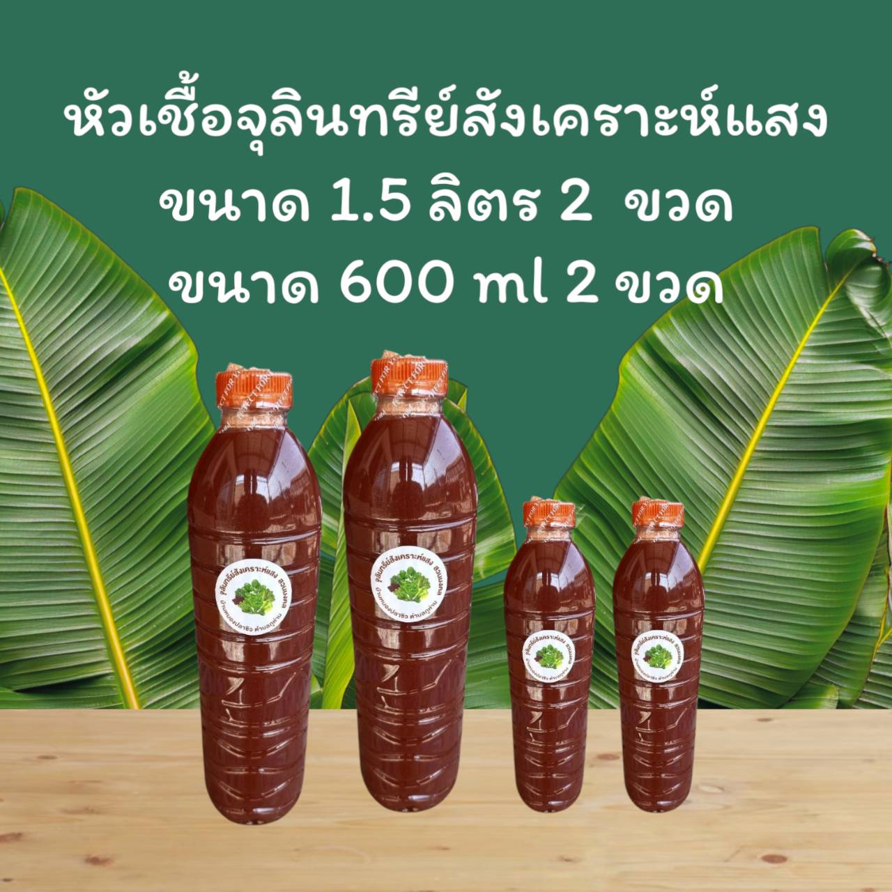 หัวเชื้อจุลินทรีย์สังเคราะห์แสง PSB 100% 1.5 ลิตร 2 ขวด + 600 ml 2 ขวด ราคา 990 บาท*ส่งฟรี