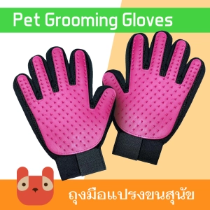 ภาพหน้าปกสินค้าPetaholic (GG01) ถุงมือสัตว์เลี้ยง ถุงมือสุนัข ถุงมือแปรงขนสัตว์เลี้ยง ถุงมือแปรงขน หวีแปรงขนสัตว์เลี้ยง แปรงขนแมว ซึ่งคุณอาจชอบสินค้านี้