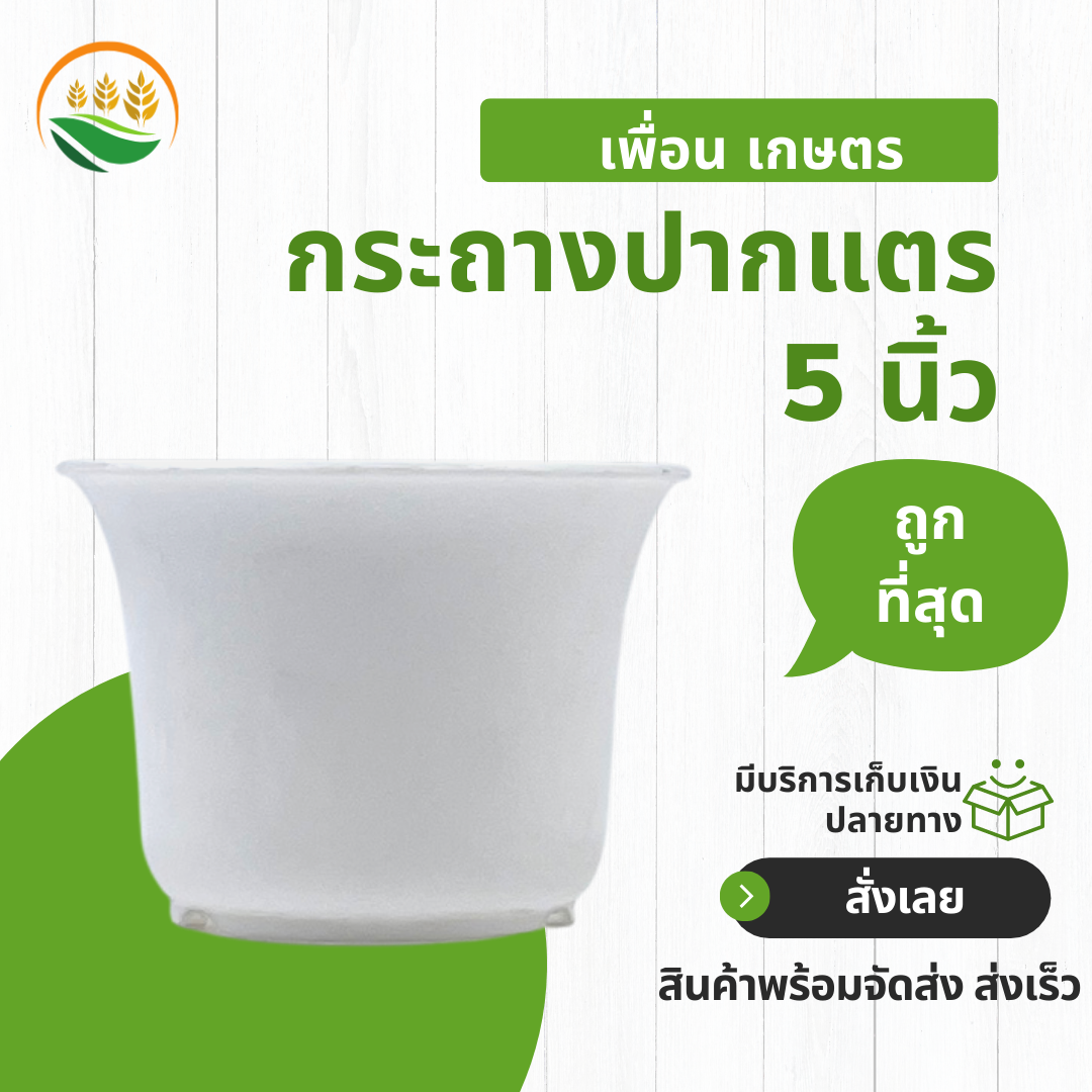 กระทางต้นไม้ กระถางพลาสติก กระถางต้นไม้ ปากแตร กระถางปากแตร 5 นิ้ว สีขาว