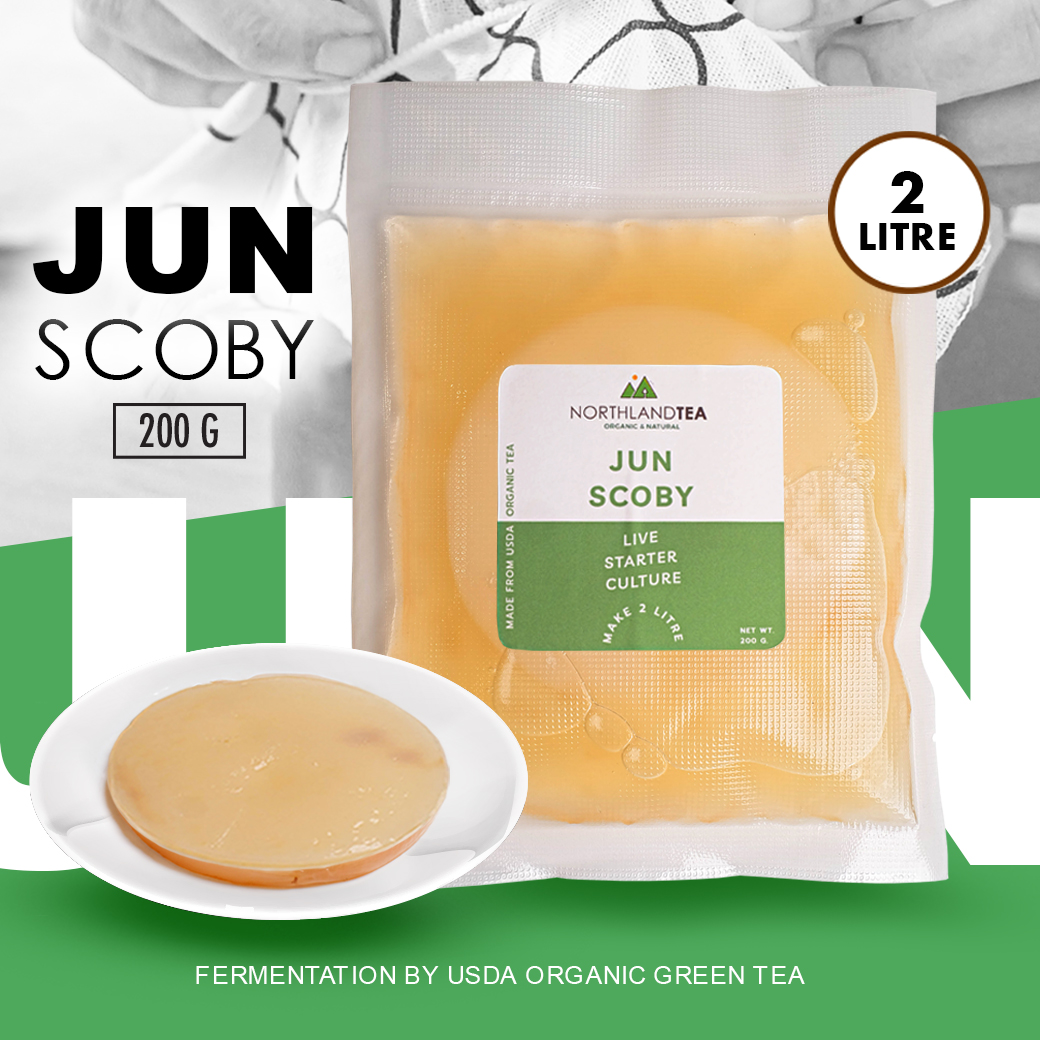 Organic Jun SCOBY & Culture Starter 200 ml. ราคา 250 บาท*ส่งฟรี