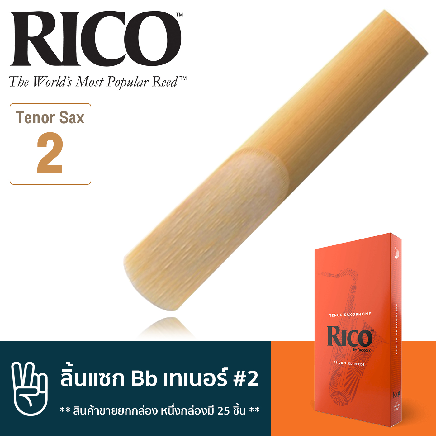 หนังสือและเครื่องดนตรี Rico RKA2520 ลิ้นแซกโซโฟน เทเนอร์ เบอร์ 2 จำนวน 25 ชิ้น ( ลิ้นเทเนอร์แซก เบอร์ 2 , Bb Tenor Sax Reed #2) ** สินค้าขายยกกล่อง หนึ่งกล่องมี 25 ชิ้น ** ราคา 3,584 บาท*ส่งฟรี