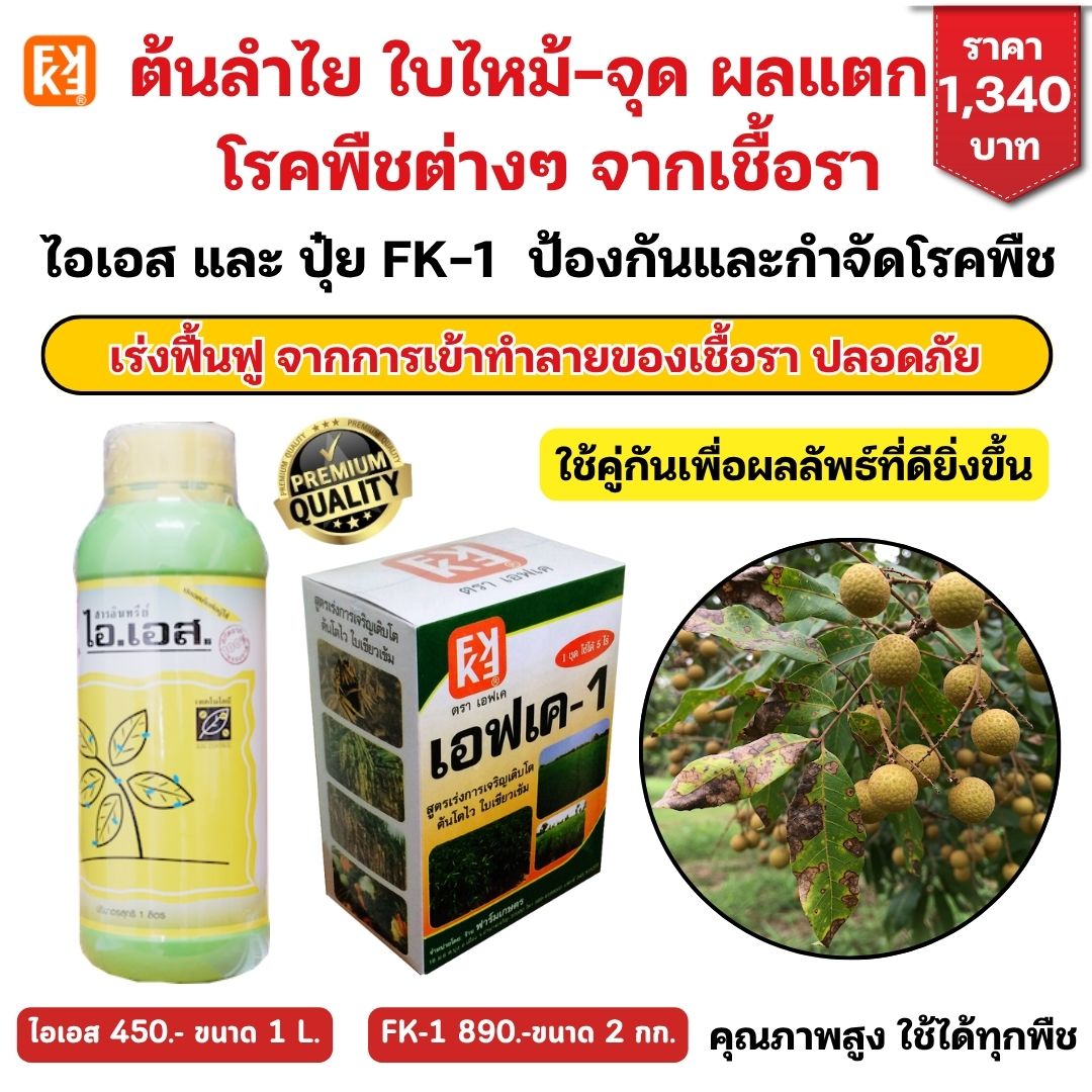 Longan, leaf, burning, leaf, breakage, fungal disease, Plant Use ss + fertilizer, FK-1, plant growth formula, safe, all plants available. ราคา 450 บาท*ส่งฟรี