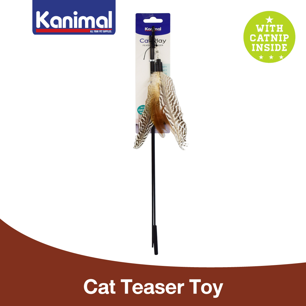 Kanimal Cat Toy Teaser 360 Degree Turnable Feather For All Life Stages Cats Size 19 cm. (Length 91 cm.) ราคา 77 บาท*ส่งฟรี