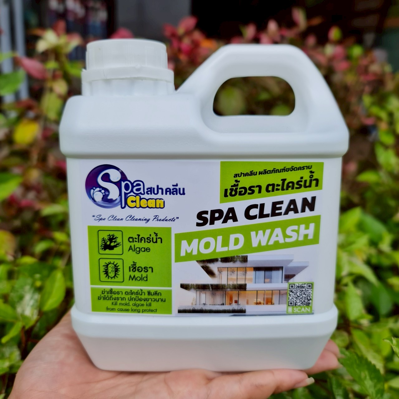 สปาคลีน มอลด์ วอช (SPA CLEAN MOLD WASH) น้ำยาขจัดคราบเชื้อราและตะไคร่น้ำ - ยี่ห้อ Spaclean Thailand (สปาคลีน) ราคา 200 บาท*ส่งฟรี