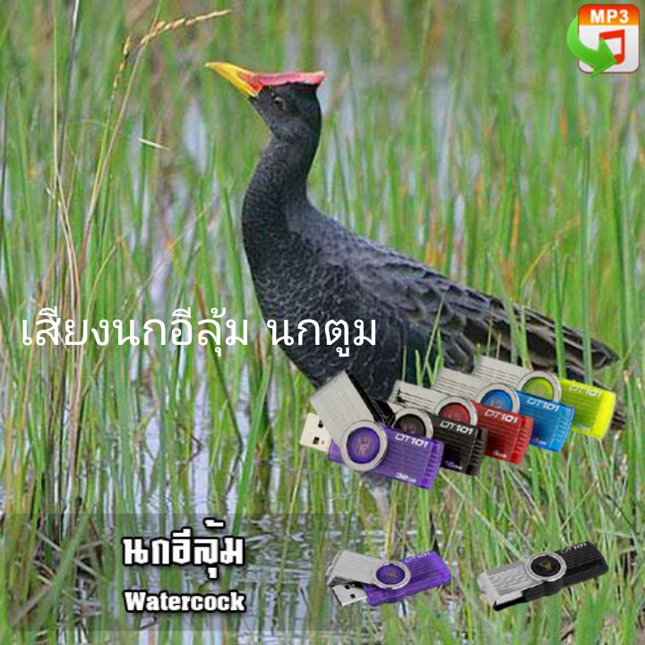 แฟลชไดร์ฟเสียงต่อนกตูม นกอีลุ้ม ยาวๆ 10 ชั่วโมง แฟลชไดร์ฟเสียงต่อนกอีลุ้ม มีเก็บเงินปลายทาง ใช้ไม่ได้ เสียงไม่ดี ยินดีคืนเงินครับ ราคา 110 บาท*ส่งฟรี