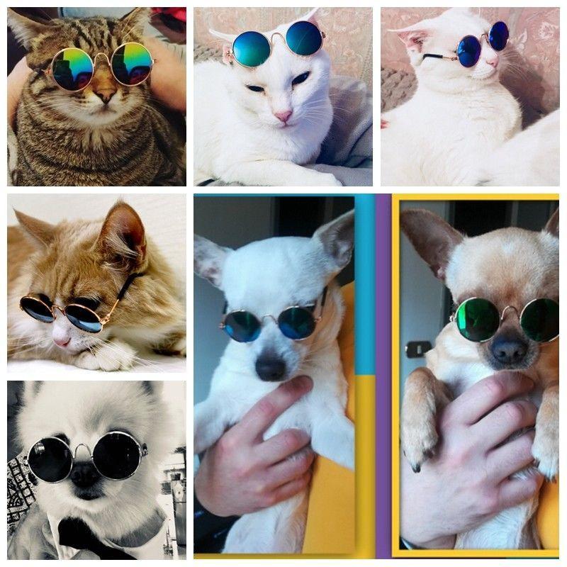 แว่นตาแมว แว่นแมว สำหรับสัตว์เลี้ยง แมว หรือสุนัขขนาดเล็ก เพิ่มความเท่ห์