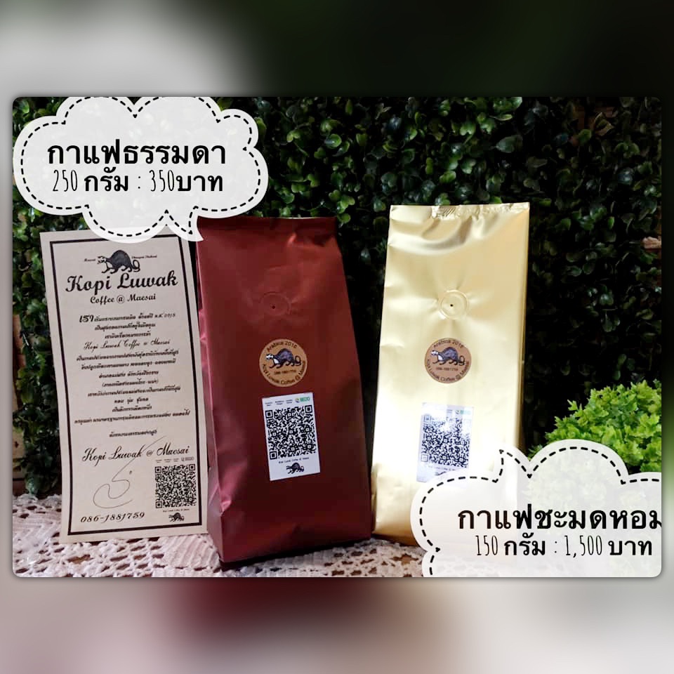 กาแฟชะมดหอมแม่สาย(กาแฟขี้ชะมด) ของแท้100% ผลิตเอง มีฟาร์มเป็นของตัวเอง ขนาด150กรัม (ถุงสีทอง) คั่วแล้วนะคะ ราคา 1,459 บาท*ส่งฟรี