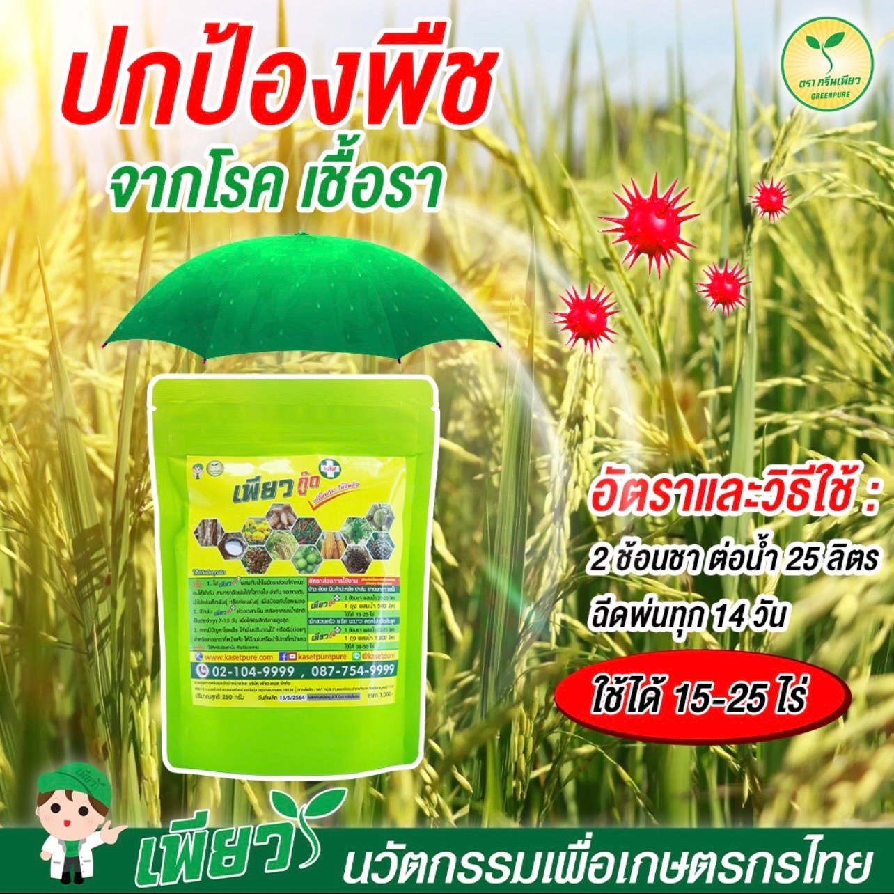 Cure Soil Degradation, Degraded Soil, Acidic Soil, Treat Fungi in the Soil, Plant Diseases, Leaf Spot, Leaf Scorch, Root Rot, Soil That Decomposes Quickly, Roots That Grow Easily, Pia Guud Plus, Pure Agriculture. ราคา 595 บาท*ส่งฟรี