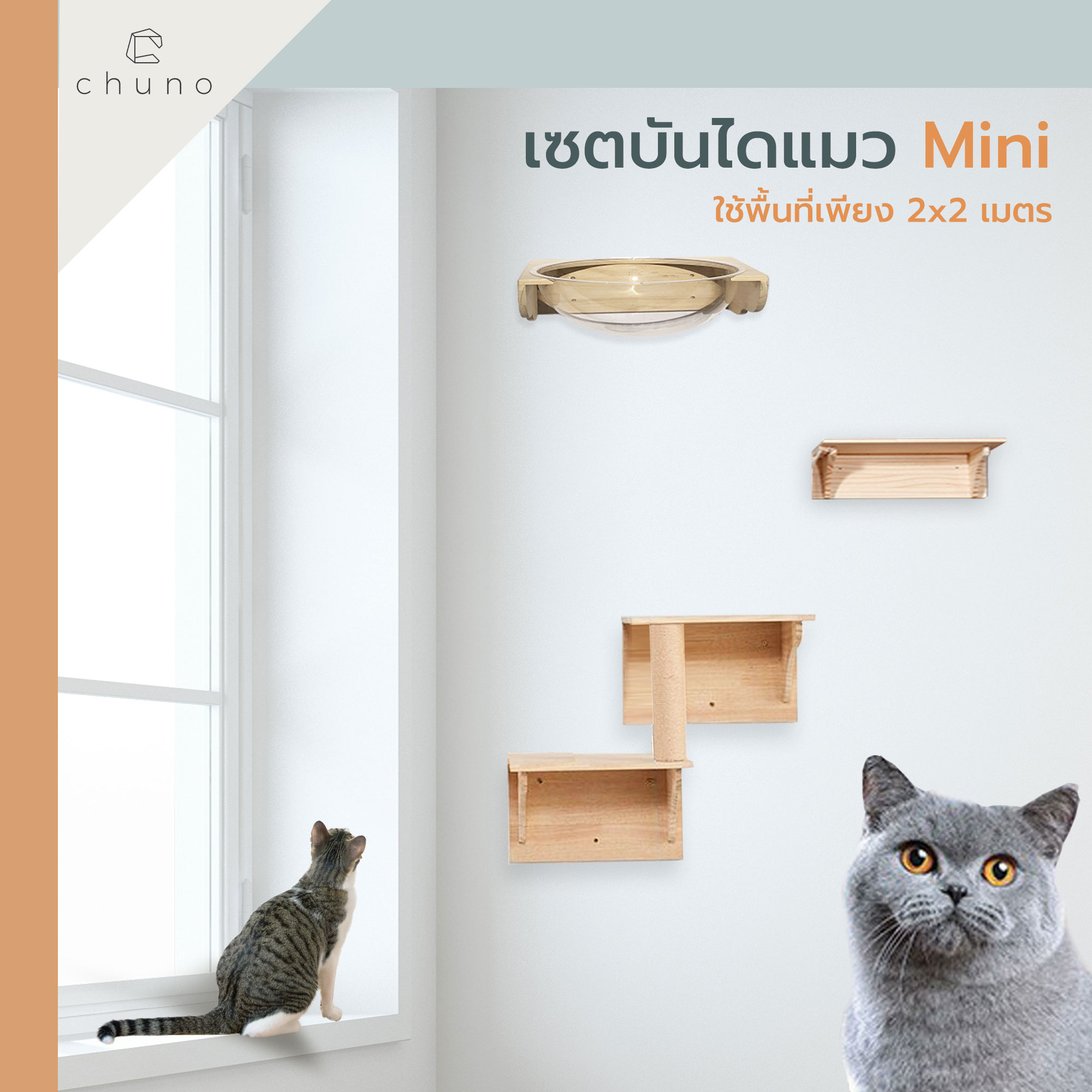 Chuno กล่องแมวติดผนัง ชุดบันไดแมว เซตเล็ก Mini ครบทุกความสนุก ใช้พื้นที่น้อย ราคา 3,099 บาท*ส่งฟรี