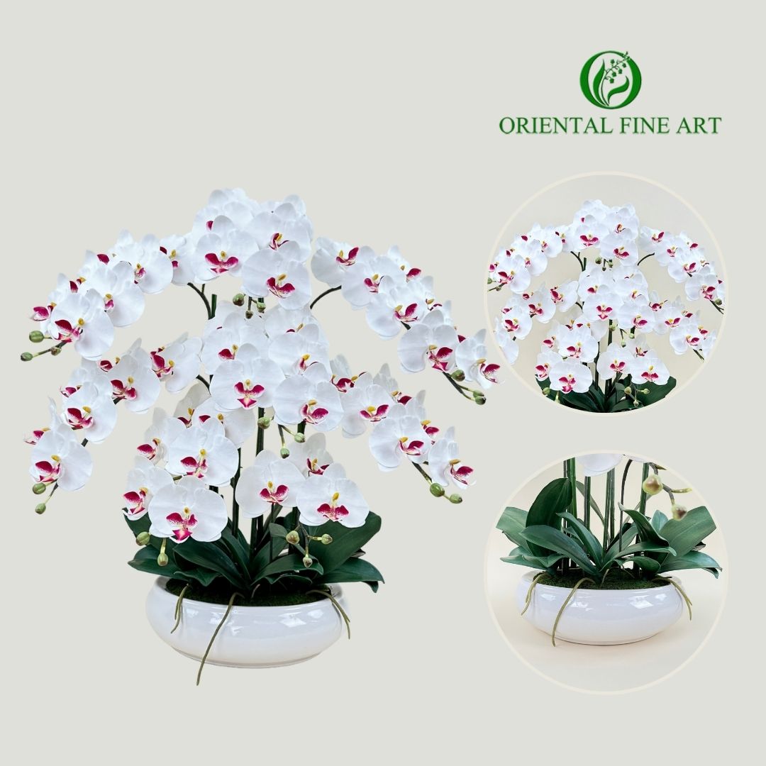 กระถางกล้วยไม้ประดิษฐ์ขนาดใหญ่ ฟาแลนดอกใหญ่สีขาวพร้อมอ่างเซรามิค ดอกไม้ปลอมตกแต่งบ้านขนาดใหญ่ ราคา 7,500 บาท*ส่งฟรี