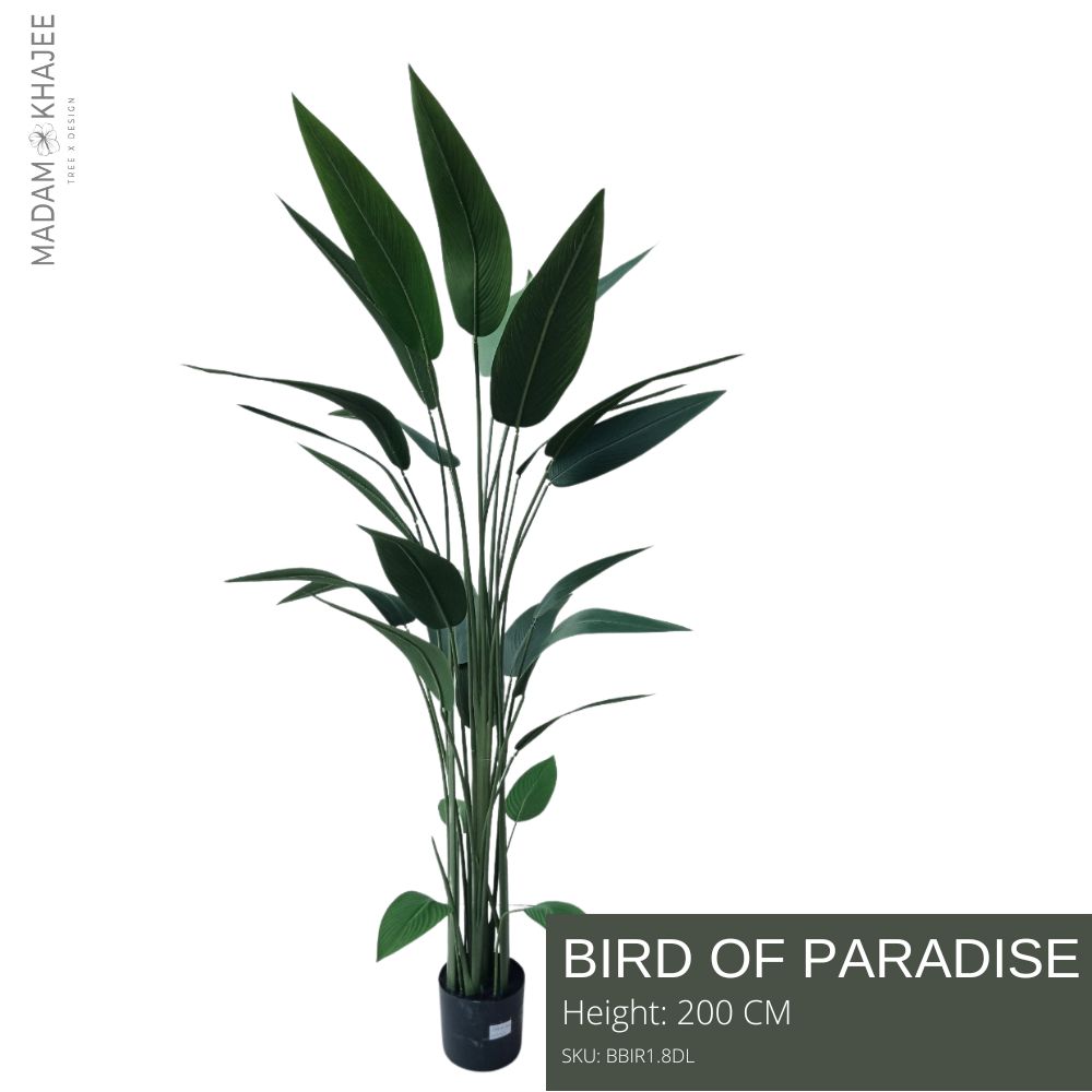 Bird of paradise Height 160 Cm. - ต้นเบิร์ดอ๊อฟพาราไดซ์ ความสูง 180 ซม.ต้นไม้ปลอมเกรดพรีเมี่ยมเพื่อการตกแต่ง ต้นไม้ประดิษฐ์ ตกแต่งบ้าน สไตล์บีช รีสอร์ท ราคา 3,950 บาท*ส่งฟรี