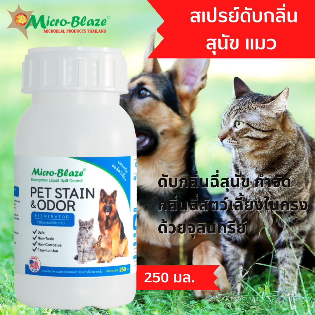 Micro-Blaze PET ราคา 750 บาท*ส่งฟรี