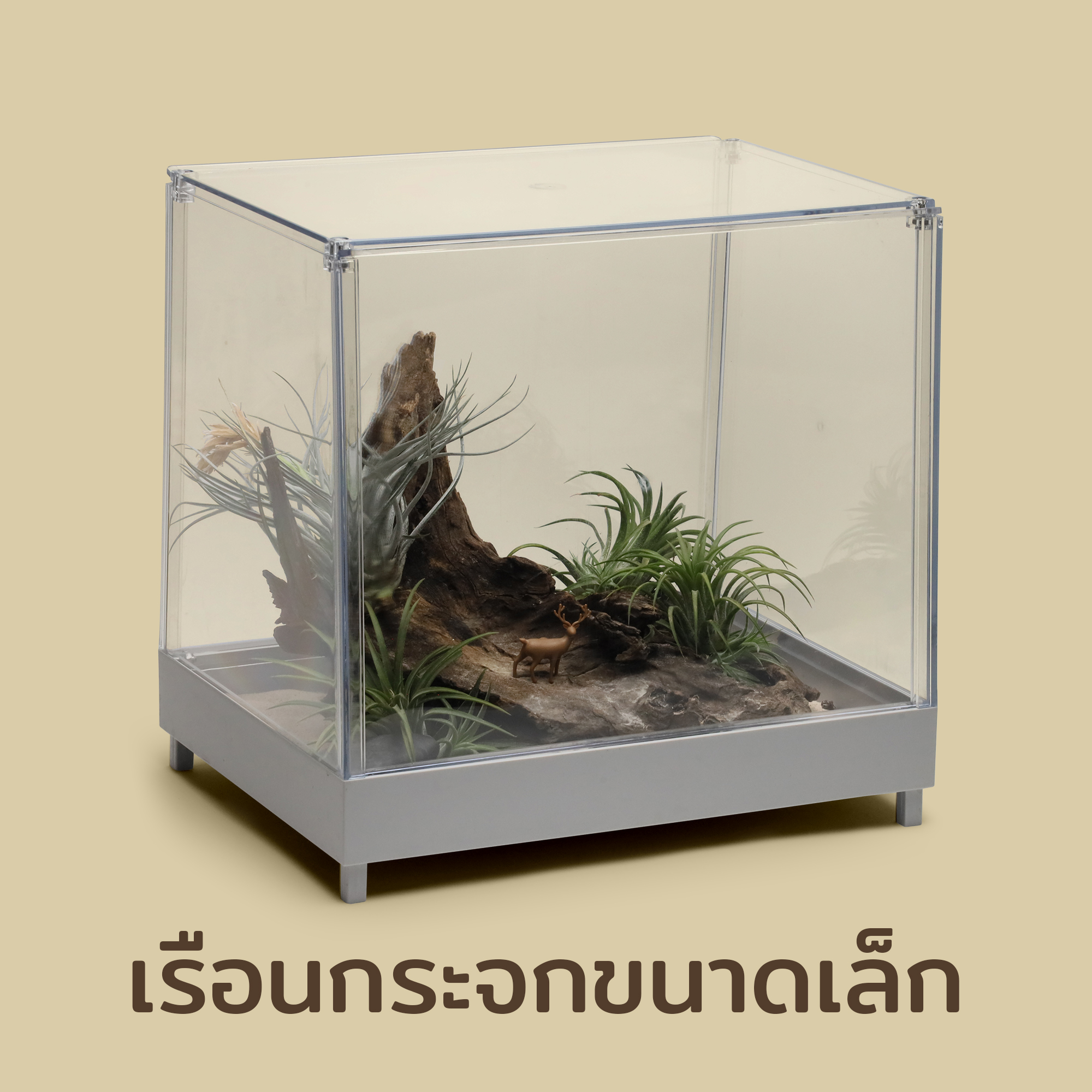 Mini Greenhouse เรือนกระจกปลูกต้นไม้ & ตู้ใส่ของอเนกประสงค์ ดีไซน์ Qualy (ควอลี่) ราคา 1,800 บาท*ส่งฟรี