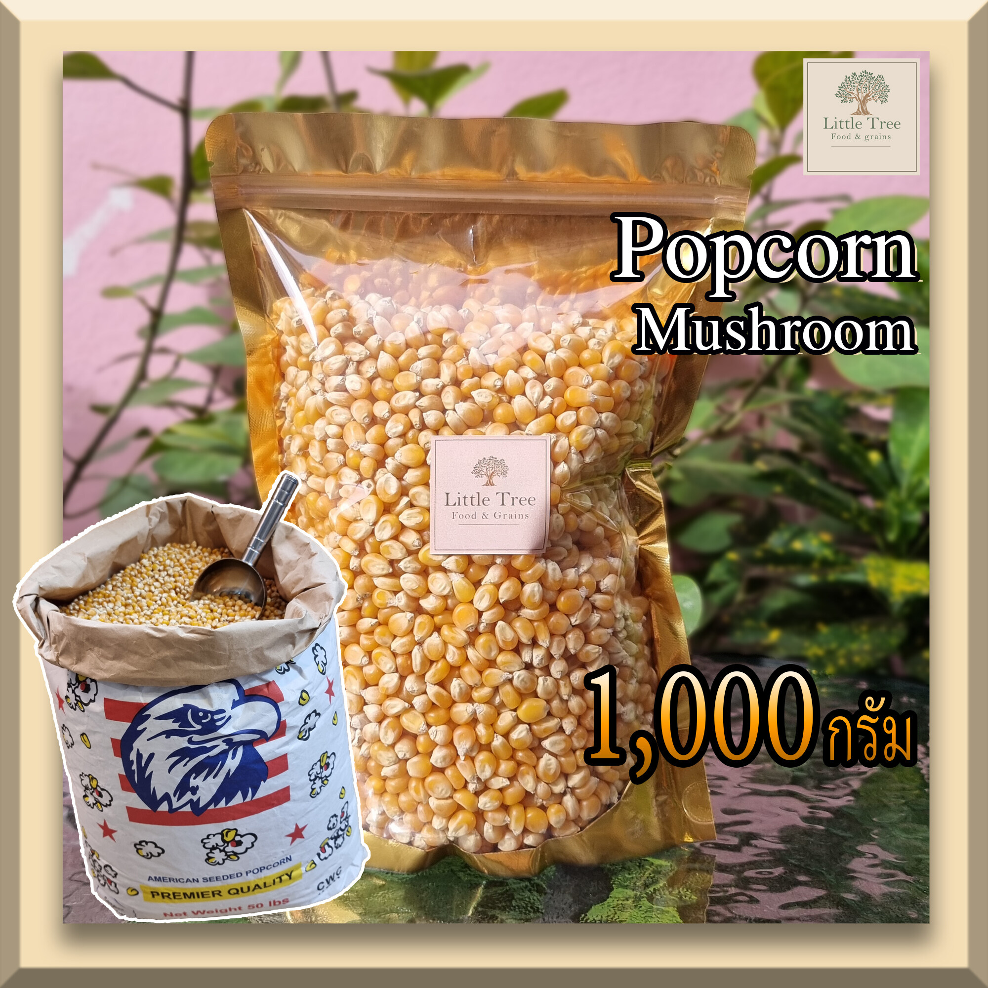 โปรโมชั่น Flash Sale : (ตรานกอินทรีย์) (1กิโลกรัม) เมล็ดข้าวโพดดิบ เม็ดข้าวโพด Popcorn ป๊อปคอร์น ข้าวโพดคั่ว แบบ Mushroom มัชรูม เมล็ดกลมใหญ่  ป๊อบกลมสวย เกรดพ