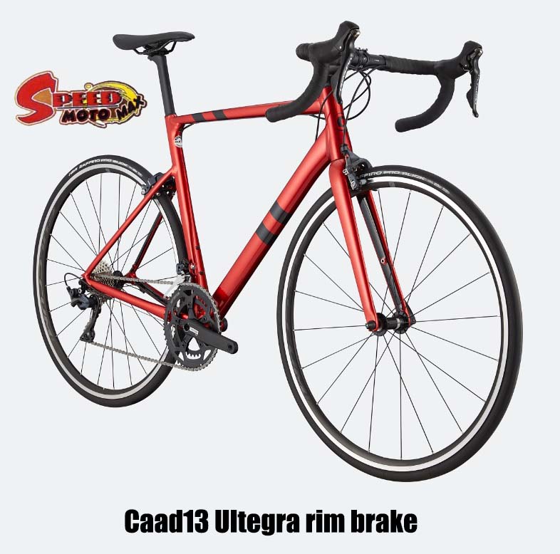 Caad13 store ultegra rim