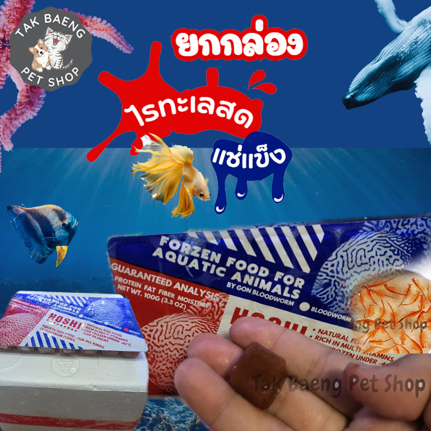 Frozen Red Sea Shrimp, Whole Box of 7 Packs + Free Foam Box, All Types of Newborn Aquatic Fish Food, Clean, Free from Parasites, Genuine. ✨ ราคา 349 บาท*ส่งฟรี