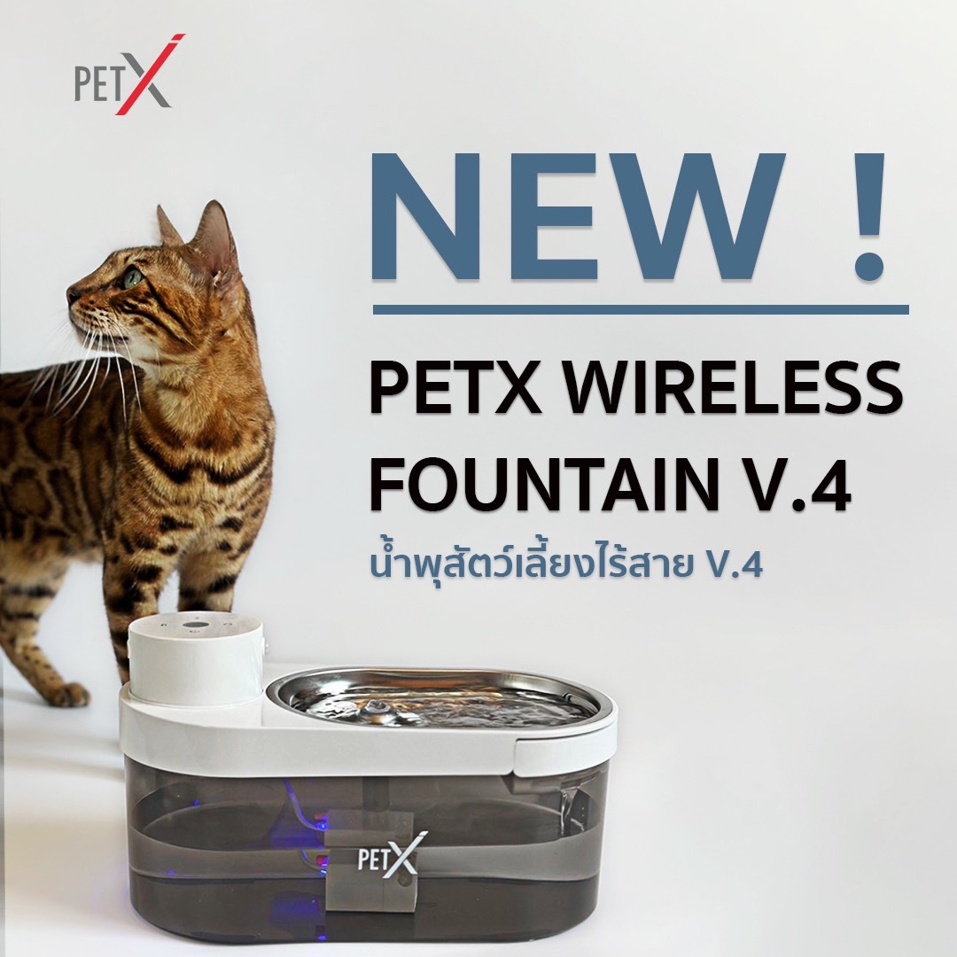 PET X : WIRELESS FOUNTAIN V.4 น้ำพุสำหรับสัตว์เลี้ยงไร้สาย V.4 ราคา 1,850 บาท*ส่งฟรี