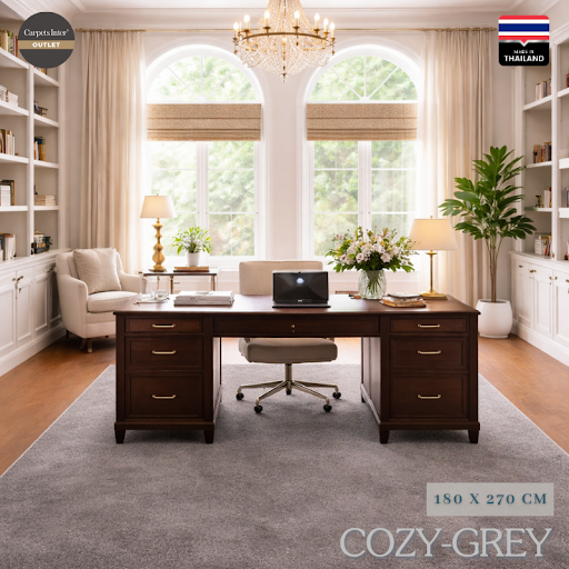 Cozy-Grey Premium Modern Area Rug 120X180 Cm, Soft Plush Carpet for Living Room, Elegant Home Decor ราคา 1,450 บาท*ส่งฟรี