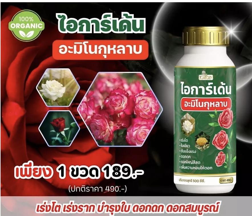 Amino Rose, Complete Rose Care, Beautiful Leaves, Strong Plant, Abundant Flowers, Large Flowers, Strong Fragrance, Icare Garden, 1 Bottle, 500Cc. ราคา 160 บาท*ส่งฟรี
