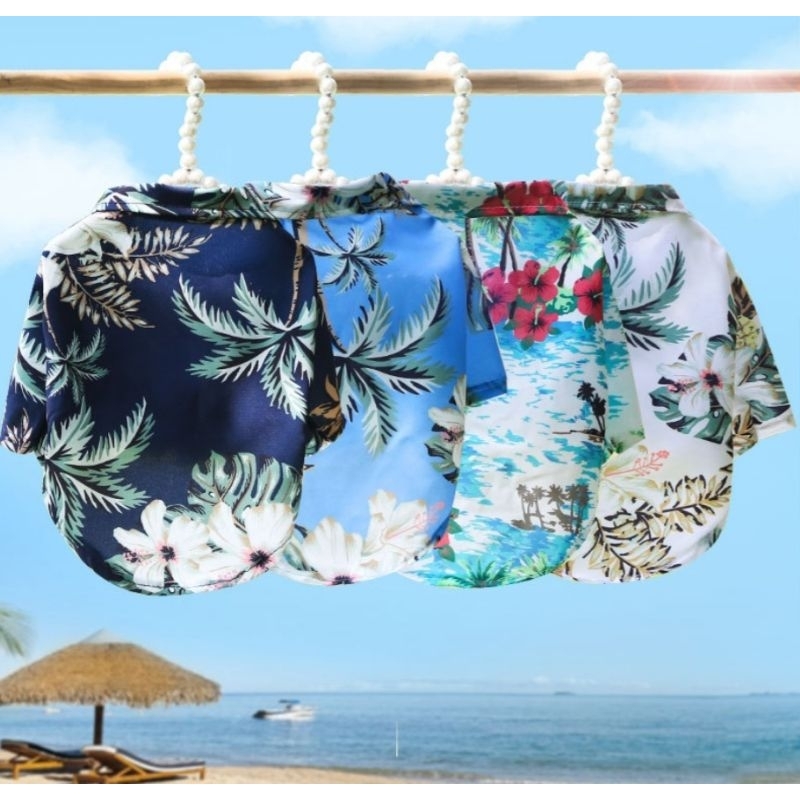 (B06)เสื้อสงกรานต์สุนัข - แมว (*พร้อมส่งจากไทย!!*) เสื้อฮาวาย ธีมSummer เสื้อเชิ๊ตสัตว์เลี้ยง สีสันสดใส สินค้าสวยตรงปก ราคา  38 บาท*ส่งฟรี