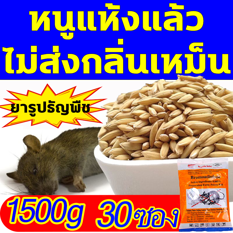 รูปสินค้า 1 Night Rodenticide 150g Buy 1 Buy 2 Patent Formula Rodenticide Made from Wheat Imported from the United States My Favor
