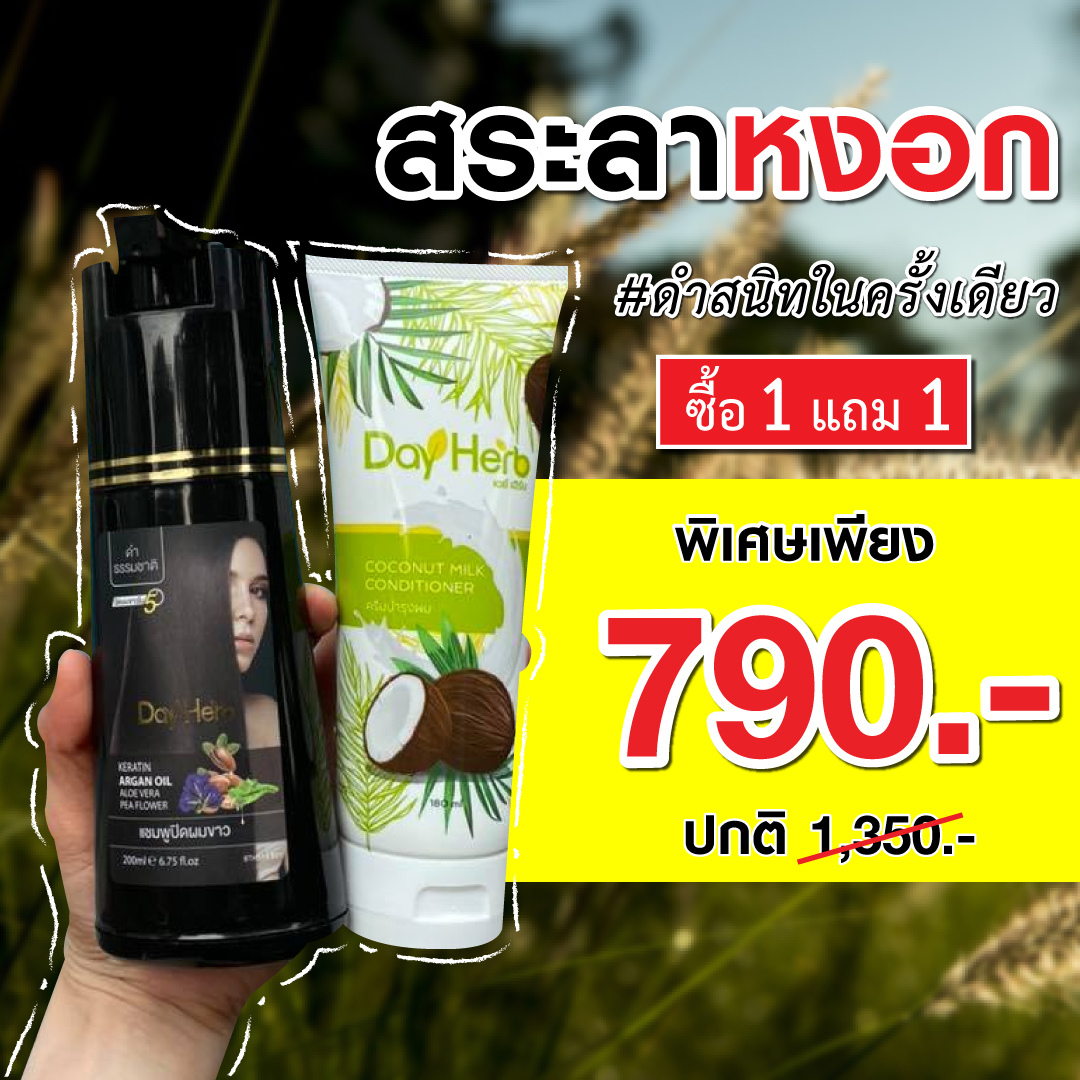DayHerb แชมพูปิดผมขาว 1 ขวด ทรีทเม้นท์บำรุงผม 1 ขวด สมุนไพร 100% ปิดผมขาว ได้ใน 5 นาที ราคา 790 บาท*ส่งฟรี