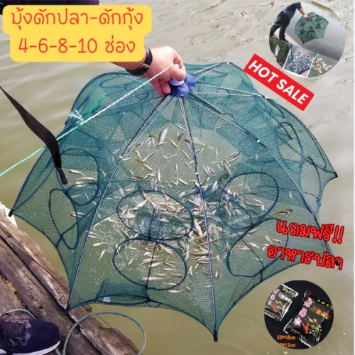 เช็ครีวิวสินค้าES.!!แถมฟรีอาหารปลา  ที่ดักปลา พร้อมส่งในไทย ดักกุ้ง มุ้งดักปลา 4ช่อง 6 ช่อง 8 ช่อง 10 ช่อง ตาข่ายดักปลา รอกตกปลา พับเก็บได้ อุปกรณ์ตกปลา E104