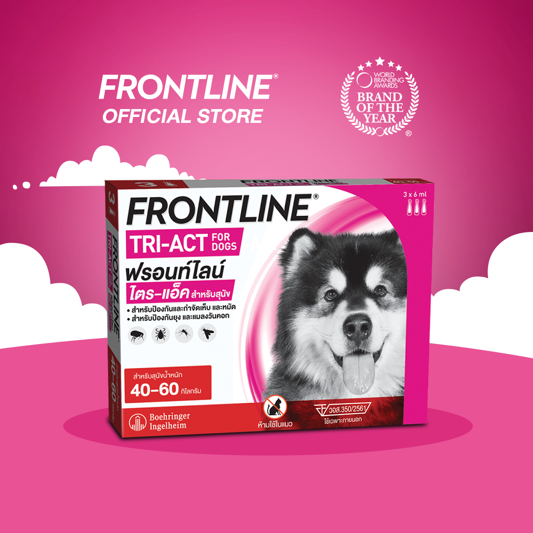 ใหม่ FRONTLINE TRI-ACT Size XL สำหรับสุนัข 40-60 kg หยดตรงจุด หยุด ยุง เห็บ หมัด ฟรอนท์ไลน์ ไตร-แอ็ค ราคา 828 บาท*ส่งฟรี