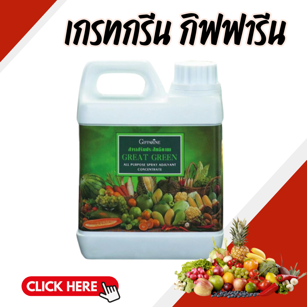 เกรทกรีน ปุ๋ย ปุ๋ยกิฟฟารีน สายจับใบ สารจับใบกิฟฟารีน ราคา 432 บาท*ส่งฟรี