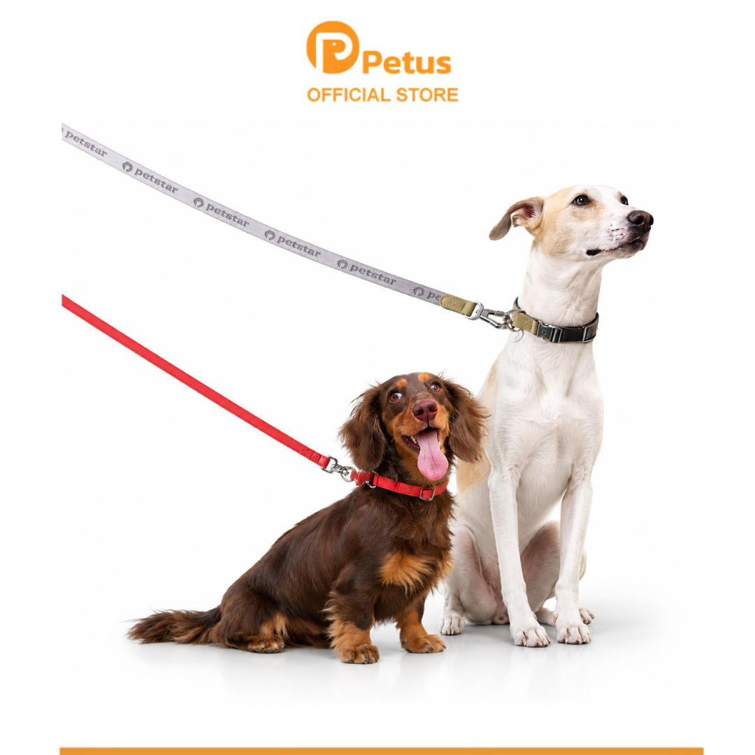 Petus Dog Leash Set, 360 Rotating Hook ° Comfortable Grip, Durable, Won'T Break Easily. ราคา 1,699 บาท*ส่งฟรี